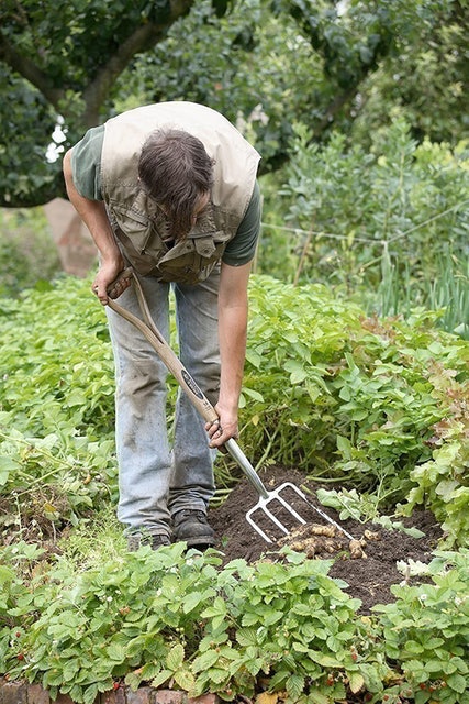 Traditional Digging Fork 3