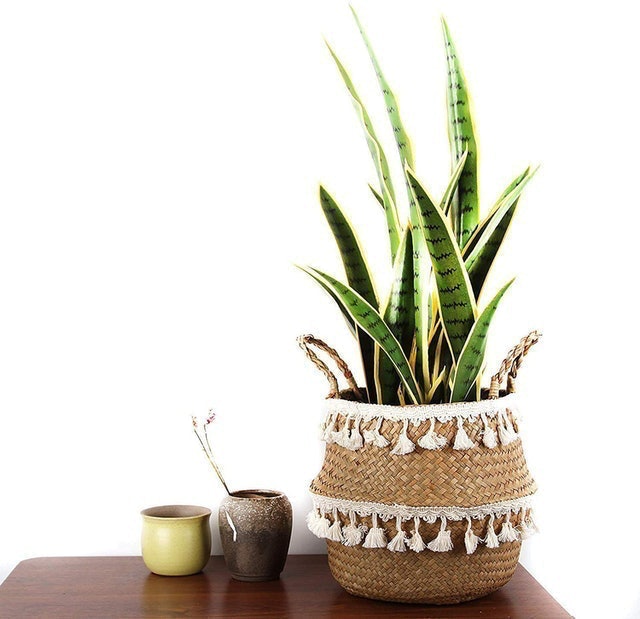 Woven Seagrass Belly Basket 2