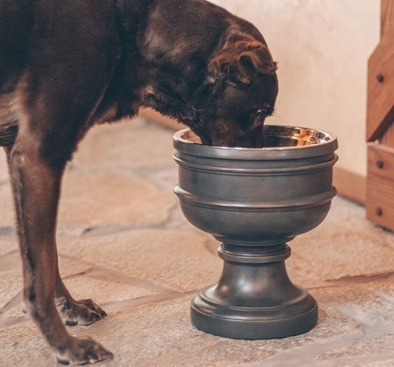 Summit Elevated Dog Bowl 3