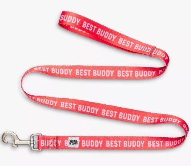 Buddy Dog Leash 1