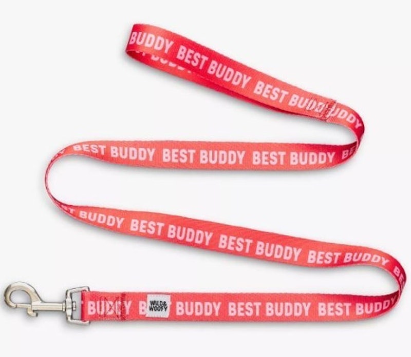 Buddy Dog Leash 1