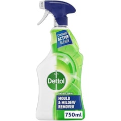 Mould and Mildew Remover Spray