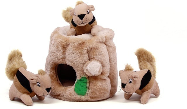 Hide A Squirrel Plush Dog Toy Puzzle 3