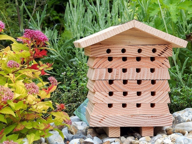 Solitary Bee Hive 2