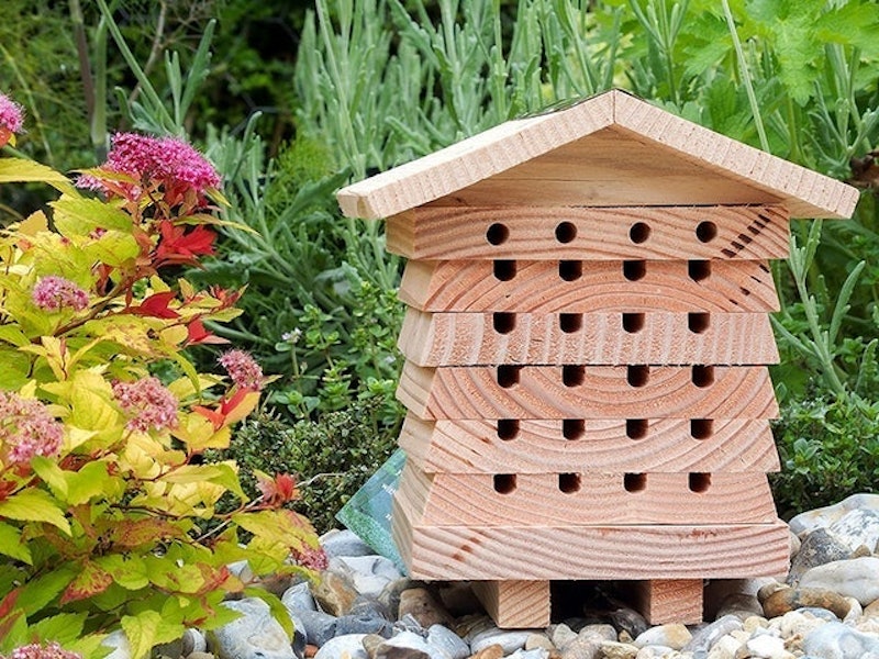 Solitary Bee Hive 2