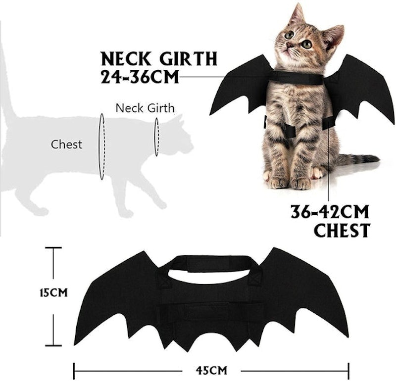 Bat Wings Outfit Harness 4