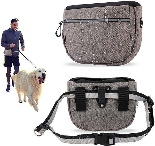 Dog Treat Pouch Bag for Training 1