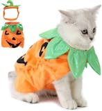 10 Best Halloween Costumes for Cats UK 1
