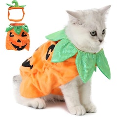 Halloween Pumpkin Outfit