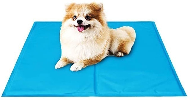 10 Best Dog Cooling Mats UK 2024 4