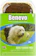 Benevo Adult Grain-Free Vegan Wet Food for Dogs 1