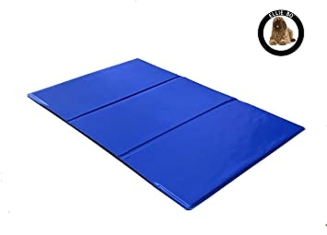 10 Best Dog Cooling Mats UK 2024 2