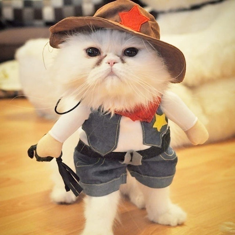 The Cowboy Cat Costume 2