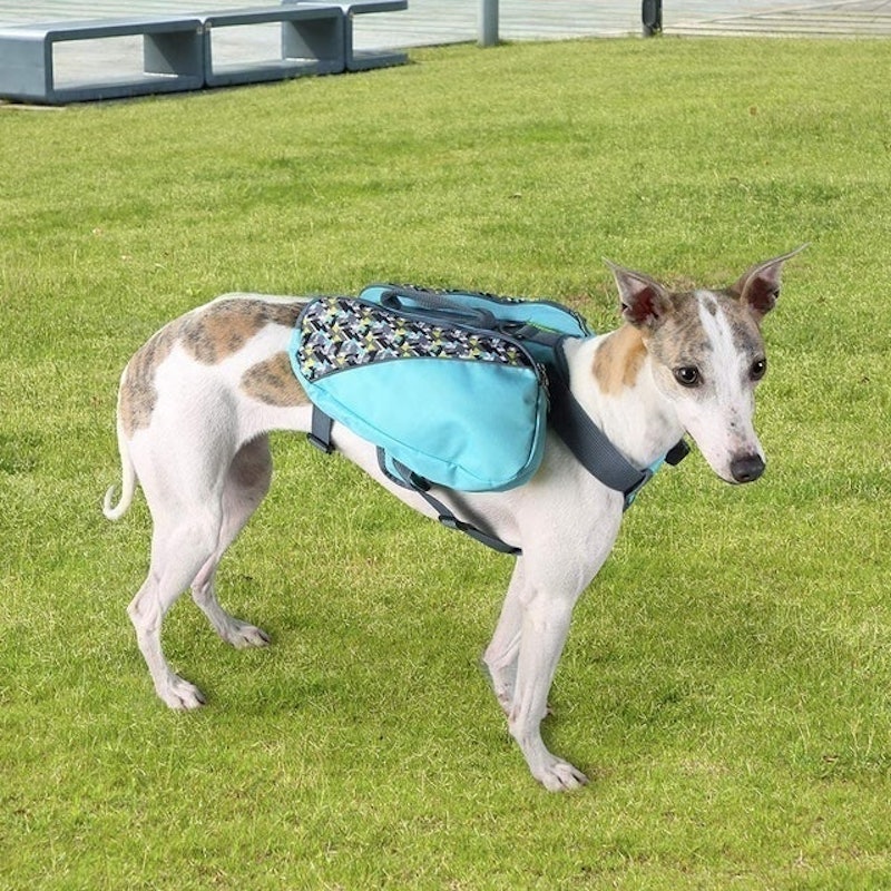 Dog Saddle Bag 3