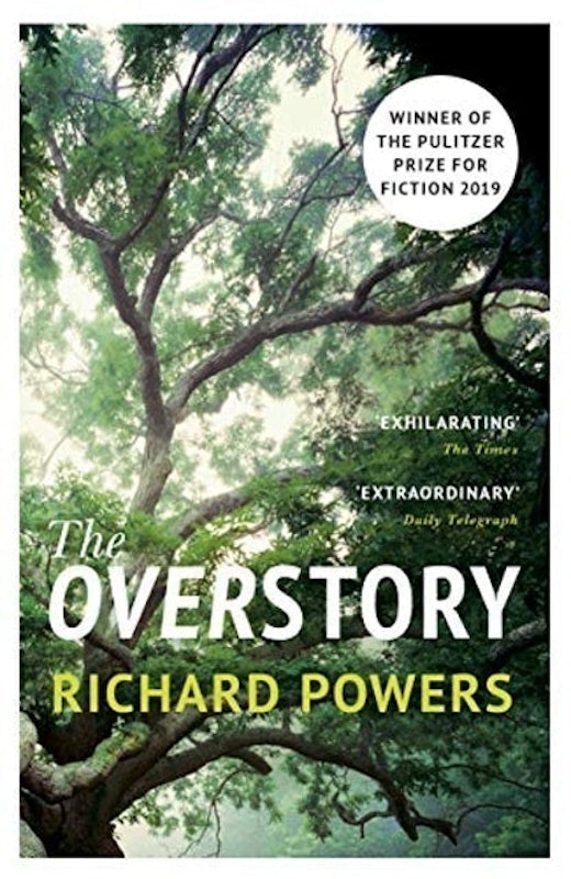 The Overstory 1