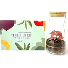 Handmade Terrarium Kit
