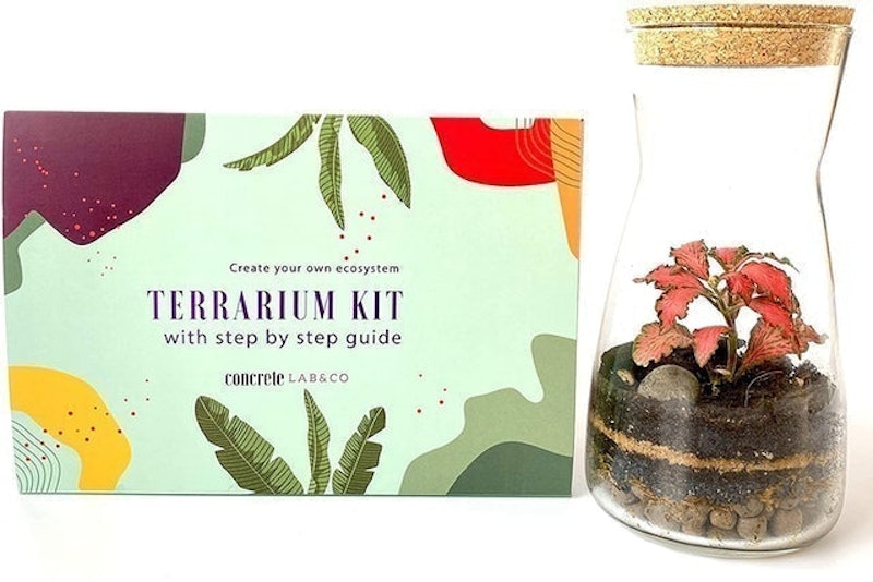 Handmade Terrarium Kit 1