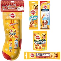 Christmas Stocking for Dogs