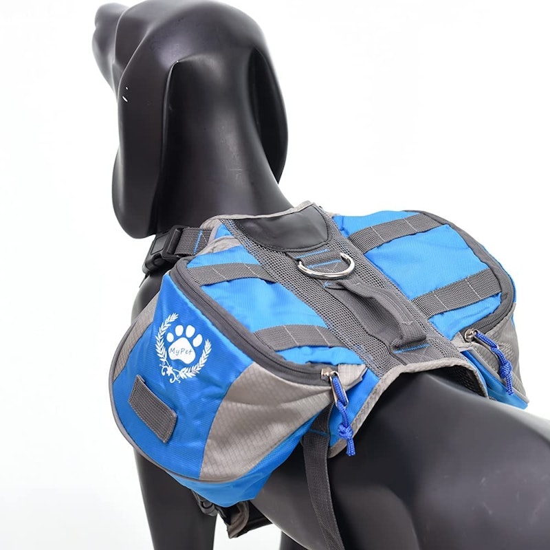 Expedition Backpack 2