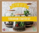 7 Best Terrarium Kits UK 2024 4