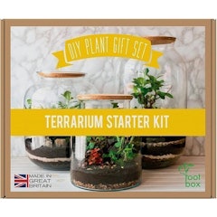 Terrarium Starter Kit