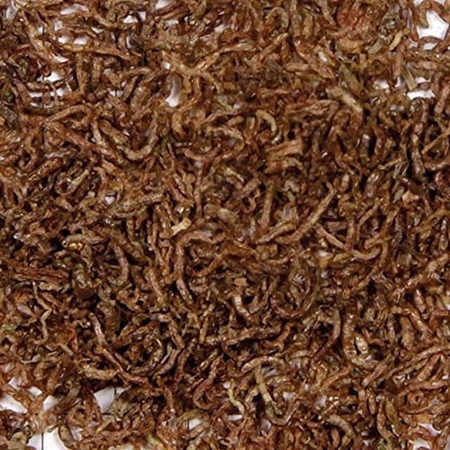 King British Bloodworm Treats 2