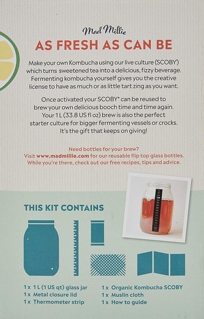 Kombucha Kit 2