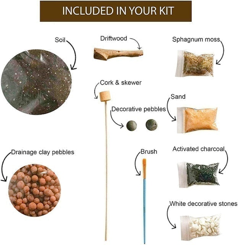 DIY Terrarium Kit 3