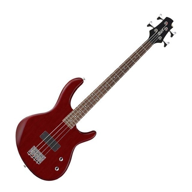 Junior Bass 1