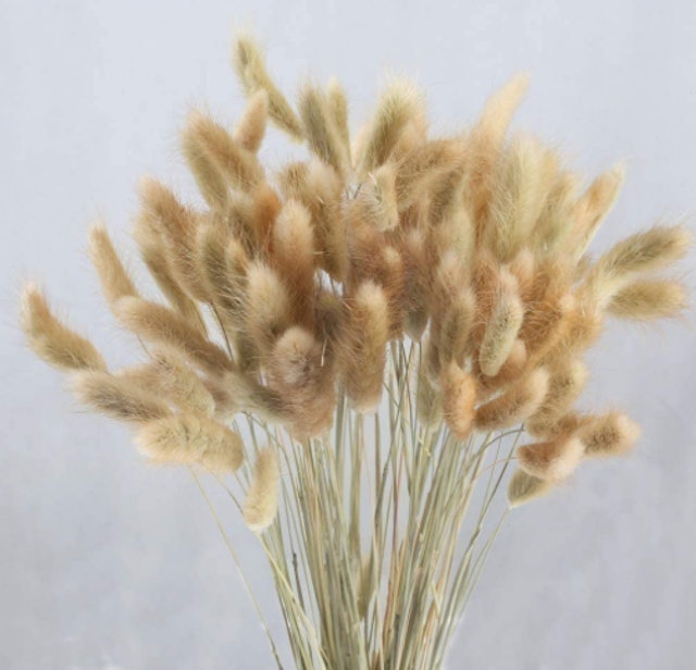 Natural Dried Flowers 1