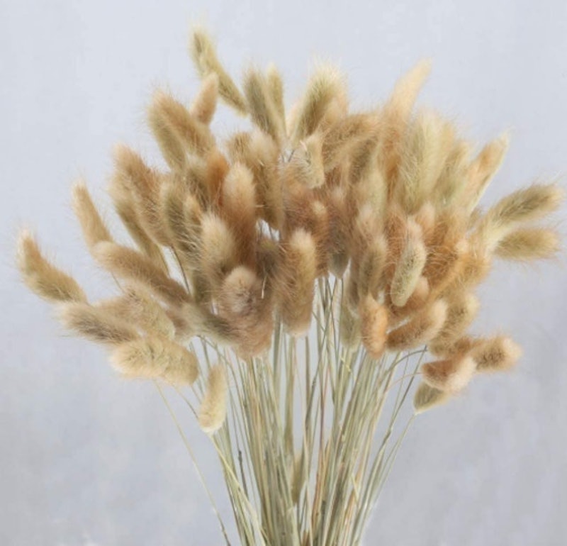 Natural Dried Flowers 1