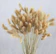 HUAESIN Natural Dried Flowers 1