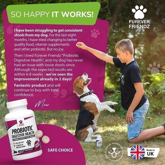 Canine Probiotics & Prebiotics for Digestive Health  4