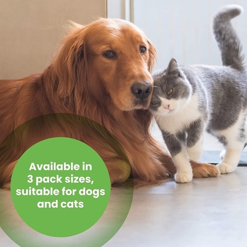 Probiotic Paste For Cats And Dogs 5