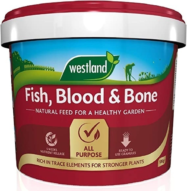 10 Best Fertilisers UK 2024 | Westland, Miracle-Gro and More 3
