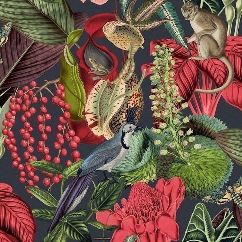 Tropical Jungle Fever 1