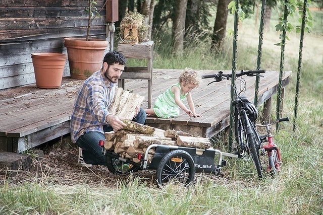 Flatbed Cycle Trailer 3