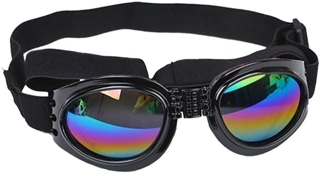 10 Best Dog Goggles UK 2024 2