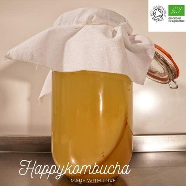 Basic Kombucha Starter Kit 2
