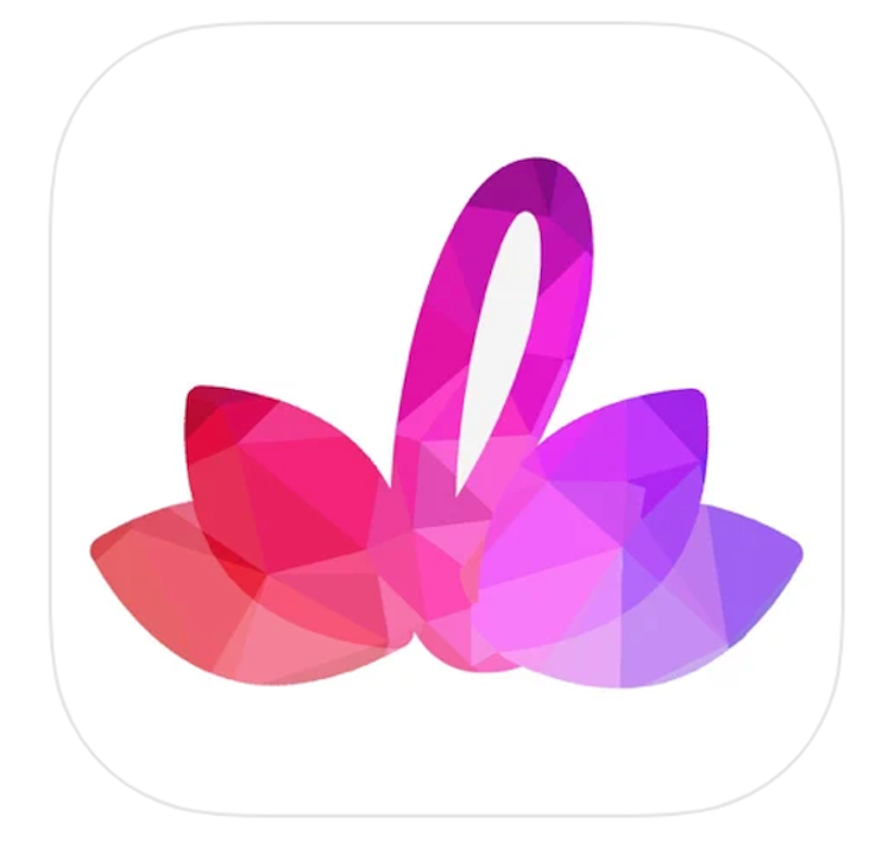 Lotus | Yoga and Meditation 1