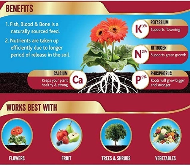 Fish, Blood and Bone All Purpose Plant Food 2