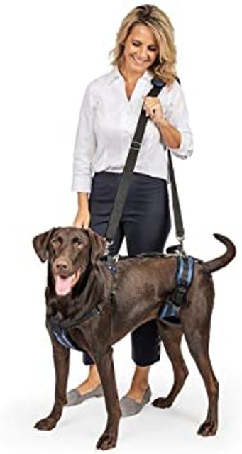 Care Lift Support Harness 1