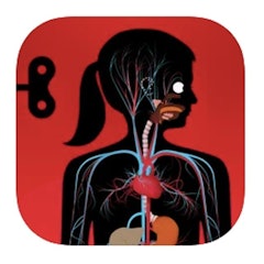 The Human Body by Tinybop