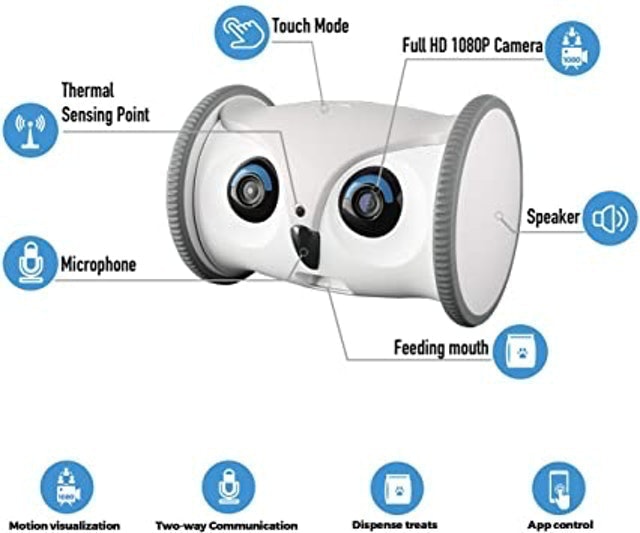 Owl Robot 2