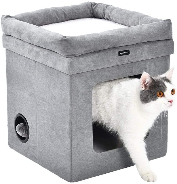 Collapsible Cat House 2