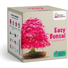 Easy Bonsai Starter Kit