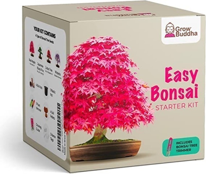 Easy Bonsai Starter Kit 1