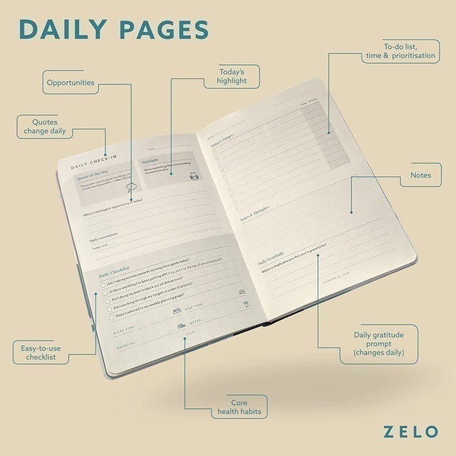 The Paper Trainer 2