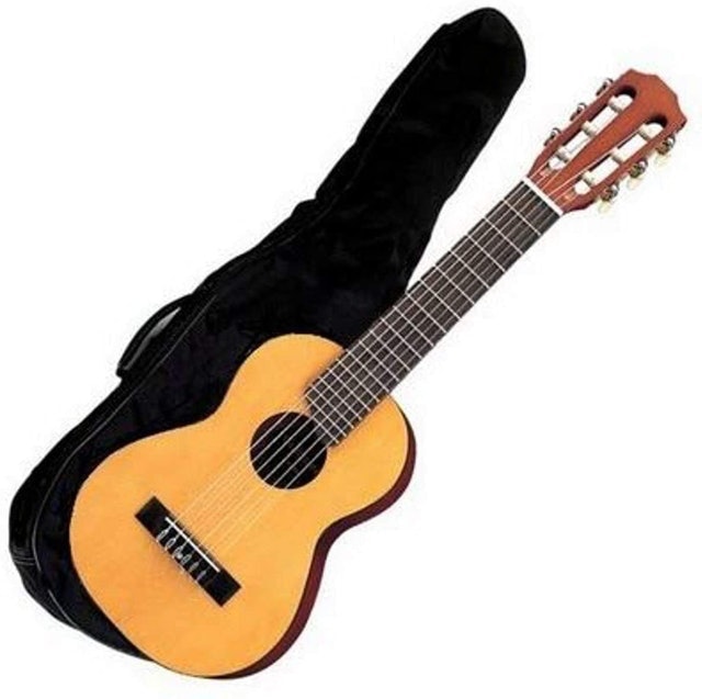 Acoustic Guitalele 2