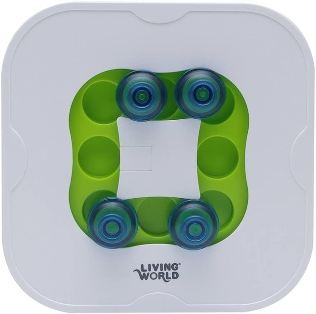 10 Best Toys for Rabbits 2024 | UK Veterinarian Reviewed 1